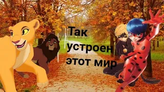 Клип "Так устроен этот мир"