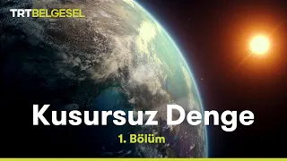 Kusursuz Denge | Dünya | TRT Belgesel