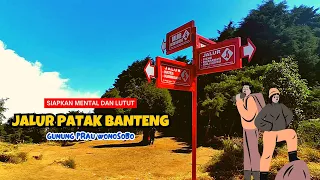 Siapkan MENTAL dan LUTUT ‼️ GUNUNG PRAU Jalur PATAK BANTENG