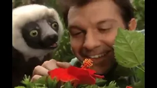 Zoboomafoo: Green Creatures