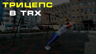 ТРИЦЕПС В ПЕТЛЯХ TRX