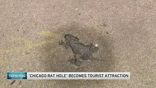 'Chicago Rat Hole' becomes tourist attraction