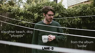 Slaughter Beach, Dog - Phoenix