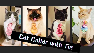 Sewing DIY Cat Collar with Tie (free pattern)