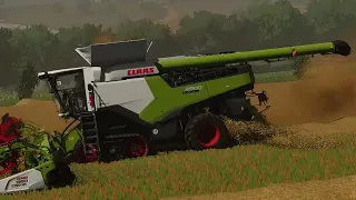 ŻNIWA JAKICH JESZCZE NIE BYŁO!🔥🔥🚜