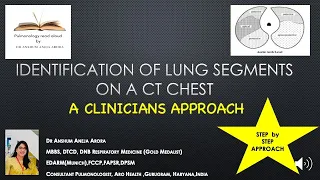 How To Read a CT chest - LUNG SEGMENT Identification