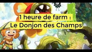 [DOFUS RETRO] 1 heure de farm : Donjon des Champs