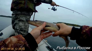 Рыбалка в Карелии . Ловля щуки на воблеры Rapala Shad Rap c Алиэкспресс