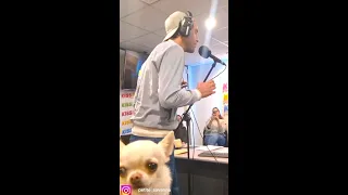 2023.12.01 Mika at the KISS FM met a Chihuahua "Savanna"