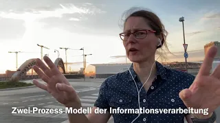 Zwei-Prozess-Modell der Informationsverarbeitung