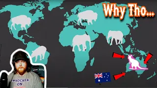 American Reacts to Why is Australia's big herbivore so strange?