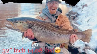 30+ inch brown trout in a Colorado public river🔥Insane day with a lifetime catch!!!