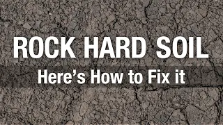 2 Minute Turf Talk - How To Fix Hard Soil!