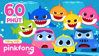 Ô tô con 🚗  va Cá Mập Con 🦈  | + Tuyển tập | Pinkfong! Cá mập con - Nhạc thiếu nhi