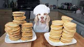 Funny Chef Dog Maymo Makes Pancakes