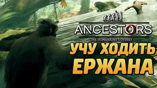 ANCESTORS: The Humankind Odyssey ● Прохождение #8 ● УЧИМ ЕРЖАНОВ ХОДИТЬ! НОВЫЕ МЕСТА!