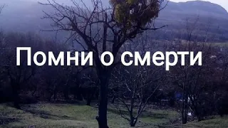 Помни о смерти| НазратуЛлах абу Марьям