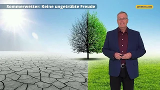 NOAA Sommerprognose 2019: Keine ungetrübte Freude