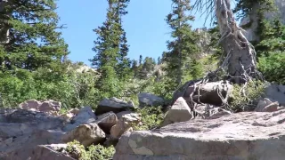 Uinta Mountain Bigfoot Sightings