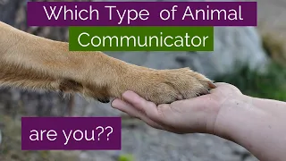 The 5 Types of Animal Communicators - which type of Animal Communicator are you?