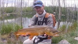 Fly fishing alpine lakes in southern Utah.