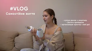 VLOG: Living Alone - Organization and cleaning - Apartment decoration