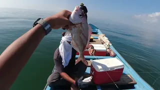 رحلة صيد إلى جزيرة مصيرة (Masirah Island)