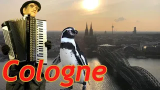 Cologne Germany (Things To Do, Places To Eat & Drink) with The Legend