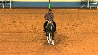 2012 AQHA Reining World Champion - LIL JOE CASH