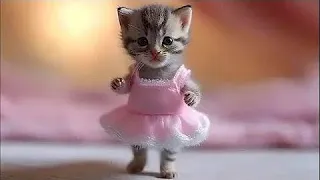 New Funny Videos 2023 😍Funniest Cats and Dogs Videos 😺🐶  Cutest Cats and Dogs 🐱🐶  PART 54