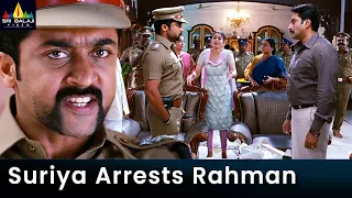 Suriya Arrests Rahman | Singam | Haniska | Telugu Movie Scenes @SriBalajiMovies