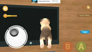 1# обзор игры " котенок кошка симулятор 3D"   🐱🐈