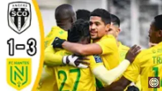 Angers vs Nantes 1-3 All Goals & Highlights