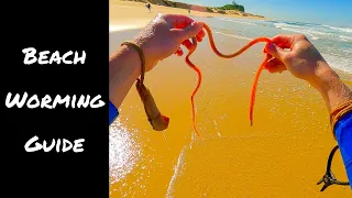 Beach Worming Guide | In-Depth & Beginner Friendly