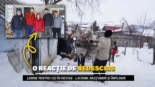 O reacție de nedescris… | Lemne, lacrimi, mulțumiri și împliniri