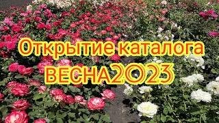 Открытие каталога Весна2023