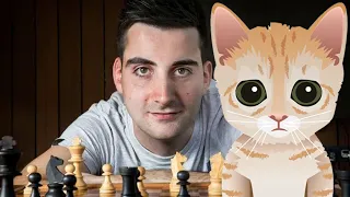 Chess Grandmaster Takes on Mittens