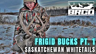 December Whitetails EVERYWHERE | Saskatchewan Whitetail Hunting