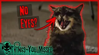 19 Things You Missed In The Pet Sematary Trailer