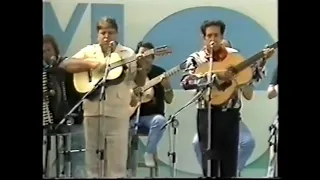 Beija-flor das Penas Verdes - Silveira e Silveirinha (Muito raro!!!)