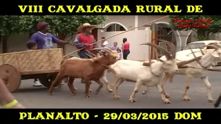 PLANALTO CAVALGADA 2015