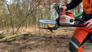 Stihl MS 170 Standard Version