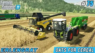 Caring for cows, harvesting oats for cereal production | Erlengrat | Farming simulator 22 | ep #75