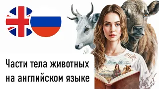 Части тела животных на английском языке (Женский голос)