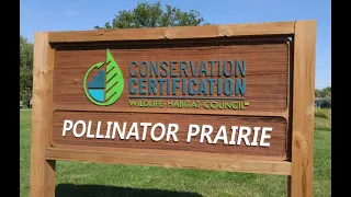 Transformation of a Superfund Site To an Ecological Habitat: The Pollinator Prairie