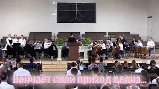 Венчает свой приход весна... Симфонический оркестр