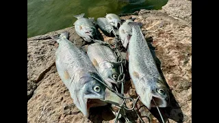 Trout Fishing at Ascarate Lake El Paso Tx March 11, 2024.