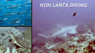 Koh Lanta Diving