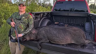 Huge Florida Hog Hunt Thinning The Pack With A 30-30