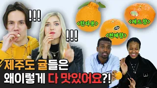 외국인들이 한라봉, 천혜향, 레드향을 처음 먹어본다면?!